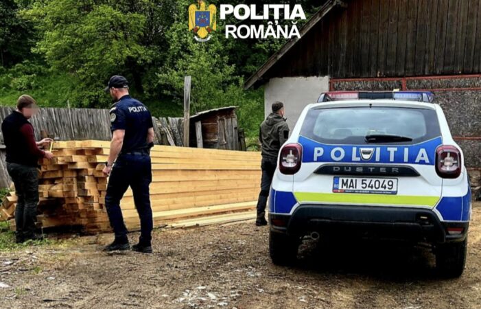 RAID AL POLIȚIȘTILOR ÎN AFACERILE CU LEMN! AMENZI  ȘI  MATERIAL LEMNOS CONFISCAT