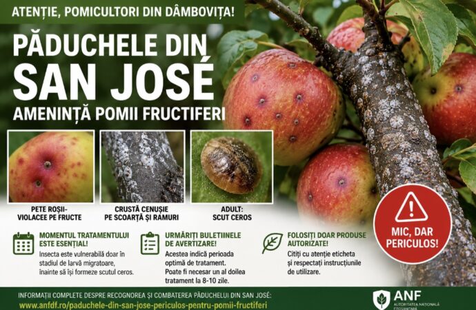 Atenție, pomicultori din Dâmbovița! Păduchele din San José poate distruge pomii fructiferi Atenție, pomicultori din Dâmbovița! Păduchele din San José poate distruge pomii fructiferi
