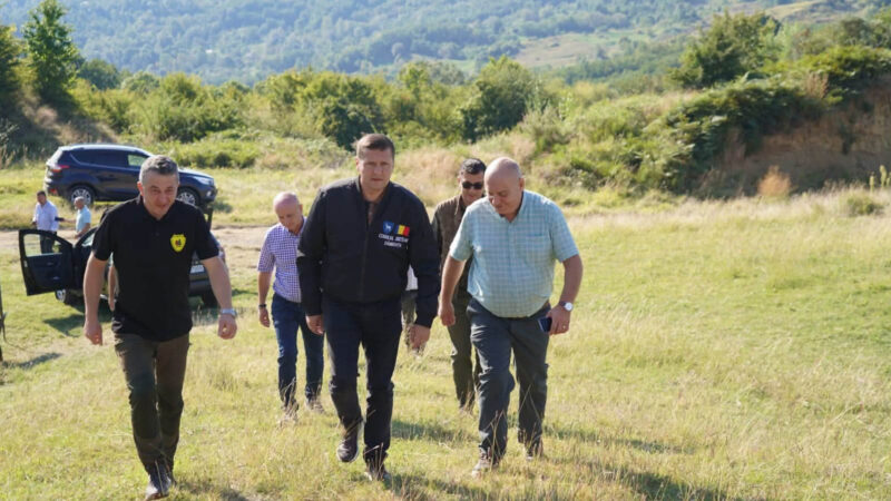 69.400 DE PUIEȚI VOR FI PLANTAȚI LA VÂRFURI! 19 HECTARE DE TEREN DEGRADAT VOR FI ÎMPĂDURITE