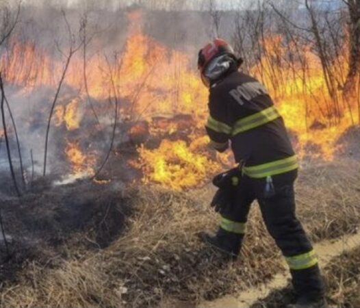 8.000 de metri pătrați de vegetație uscată, cuprinși de flăcări la Doicești 8.000 de metri pătrați de vegetație uscată, cuprinși de flăcări la Doicești
