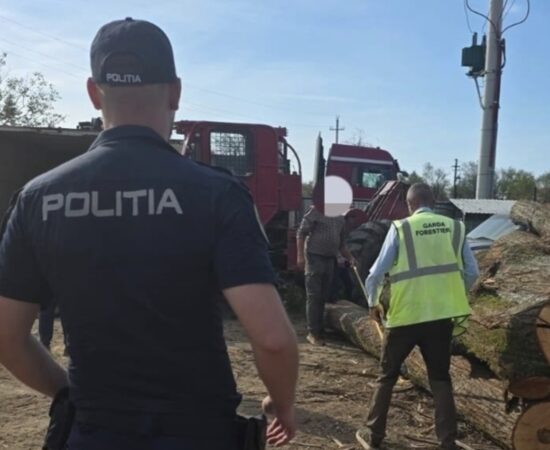 Controale în Târgoviște pentru prevenirea ilegalităților silvice. Amenzi și confiscarea a peste 17 metri cubi de lemn