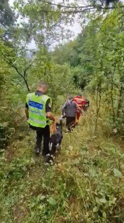 O intervenție contracronometru a avut loc în noaptea de 21 septembrie, în comuna Valea Lungă, după ce un bărbat în vârstă de 84 de ani a fost dat dispărut. O intervenție contracronometru a avut loc în noaptea de 21 septembrie, în comuna Valea Lungă, după ce un bărbat în vârstă de 84 de ani a fost dat dispărut.