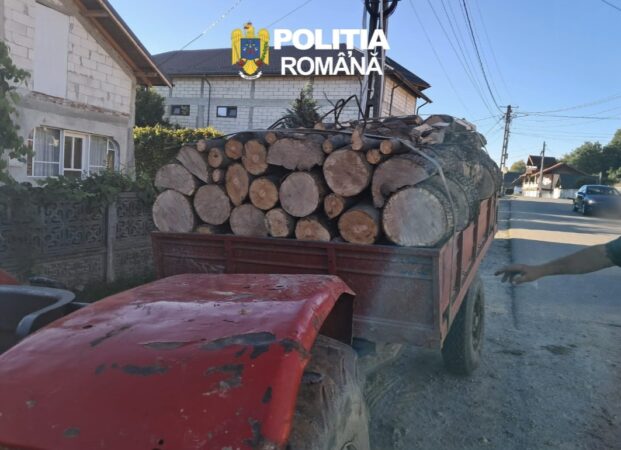 Lemn „în plus” și tractor fără acte: transport oprit de polițiști la Tătărani Lemn „în plus” și tractor fără acte: transport oprit de polițiști la Tătărani