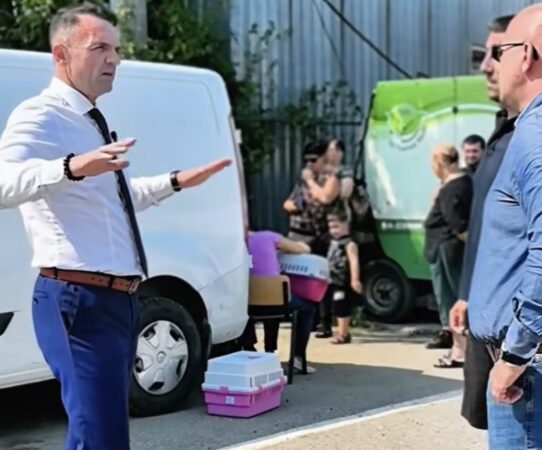 TÂRGOVIȘTE: Continuă campania de sterilizare gratuită a câinilor și pisicilor! Microciparea și înregistrarea în RECS, gratuite pentru câinii de rasă comună