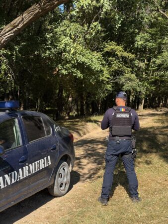 Șofer „fantomă” în SUMAL: un bărbat decedat apare în 122 de transporturi de lemne