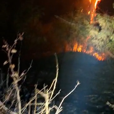 ALERTĂ ÎN DÂMBOVIȚA! Incendiu puternic lângă pădure, la Crângurile. Flăcările au cuprins 5.000 de metri pătrați!