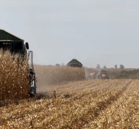 APIA începe plata avansului către fermieri din 16 octombrie. Ce sume pot primi agricultorii din Dâmbovița APIA începe plata avansului către fermieri din 16 octombrie. Ce sume pot primi agricultorii din Dâmbovița