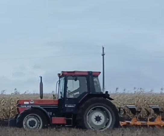 APIA Dâmbovița începe astăzi, plata în avans pentru fermieri. Banii pentru campania agricolă 2026, virați până la 30 noiembrie APIA Dâmbovița