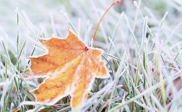 AVERTIZARE METEO! Răcire accentuată și posibile ninsori la începutul lunii noiembrie, inclusiv în județul Dâmbovița