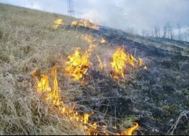 Amenzi de până la 100.000 de lei pentru arderea vegetației uscate în Dâmbovița!Garda de Mediu anunță controale