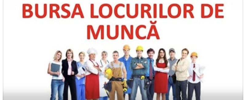 BURSA LOCURILOR DE MUNCĂ PENTRU ABSOLVENȚI, LA TÂRGOVIȘTE. TINERII ÎȘI POT GĂSI PRIMUL JOB BURSA LOCURILOR DE MUNCĂ PENTRU ABSOLVENȚI, LA TÂRGOVIȘTE. TINERII ÎȘI POT GĂSI PRIMUL JOB