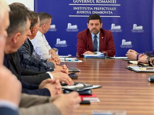 Administratorul public al CJ Dâmbovița, Marian Tănase ar urma să preia din nou conducerea Instituției Prefectului. CJ Dâmbovița