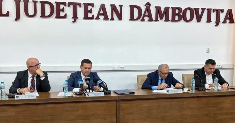 DJ 713, în atenția Consiliului Județean Dâmbovița! Se cer 6 kilometri de drum din Prahova pentru reabilitare DJ 713, în atenția Consiliului Județean Dâmbovița! Se cer 6 kilometri de drum din Prahova pentru reabilitare
