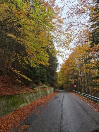 DJ 713, în atenția Consiliului Județean Dâmbovița! Se cer 6 kilometri de drum din Prahova pentru reabilitare