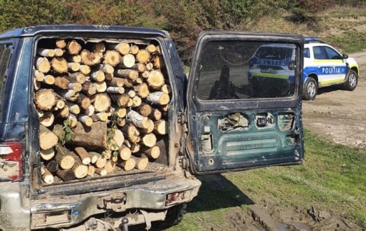Hoții de lemne fac prăpăd în pădurile din Dâmbovița Hoții de lemne fac prăpăd în pădurile din Dâmbovița