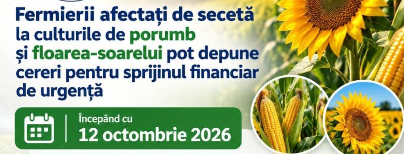 Peste 155 de milioane de lei pentru fermierii afectați de secetă. APIA primește cereri din 12 octombrie Peste 155 de milioane de lei pentru fermierii afectați de secetă. APIA primește cereri din 12 octombrie