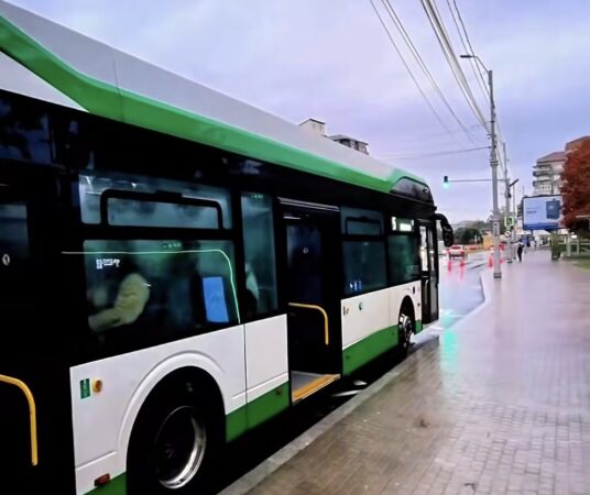Târgoviște: Vinerea, autobuzul este gratuit! Peste 10.000 de călători au folosit transportul public într-o singură zi Târgoviște: Vinerea, autobuzul este gratuit! Peste 10.000 de călători au folosit transportul public într-o singură zi