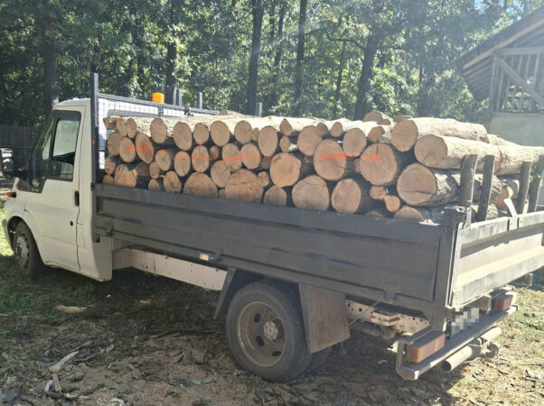 Transporturi de lemn cu acte false, depistate de jandarmii dâmbovițeni Transporturi de lemn cu acte false, depistate de jandarmii dâmbovițeni