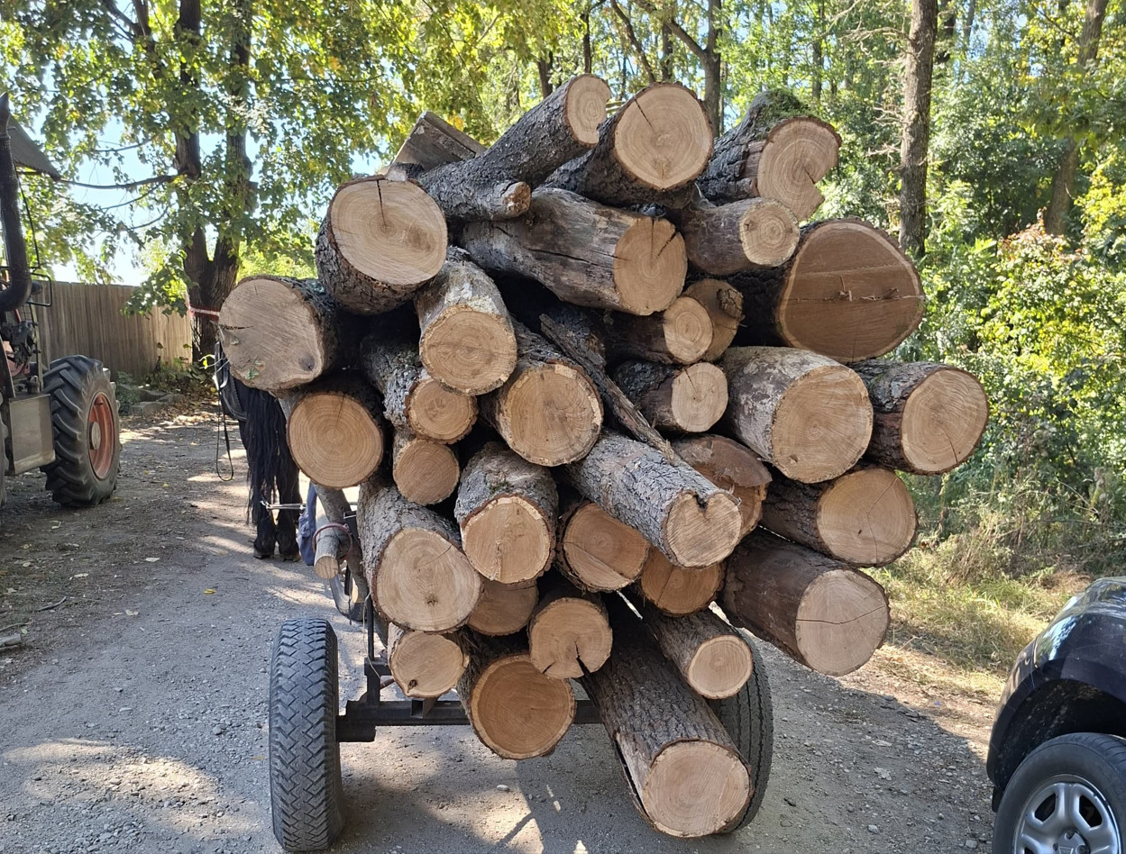 Transporturi de lemn cu acte false, depistate de jandarmii dâmbovițeni