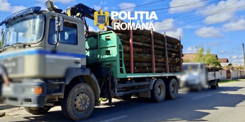 Transporturi ilegale de material lemnos, depistate în Dâmbovița! Lemn confiscat și amenzi 
