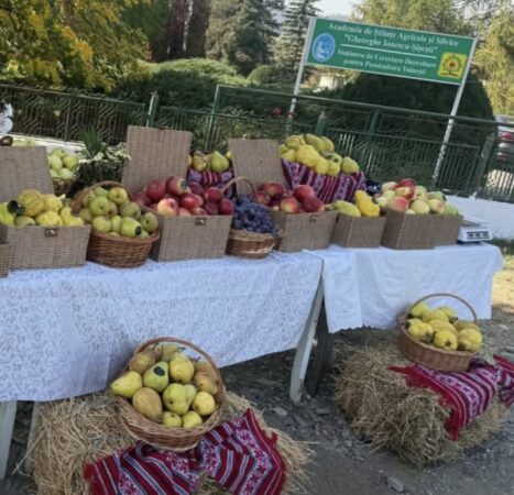 Voinești, în dialog cu specialiștii din țară! Soluții inovatoare pentru dezvoltarea pomiculturii românești Voinești,